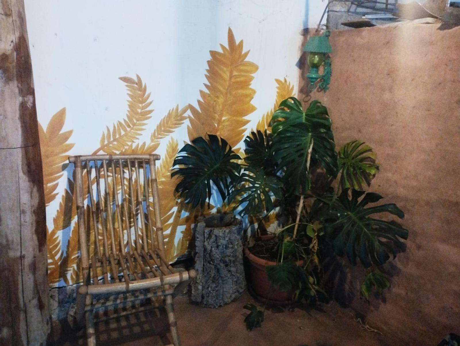 Affittacamere Country Living School Làconi Esterno foto